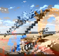 Giraffe Safari and a day at Monarto Safari Park - Darwin Holiday