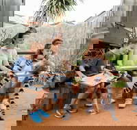 Adelaide Zoo Behind the Scenes Experience Lemur Feeding - Darwin Holiday