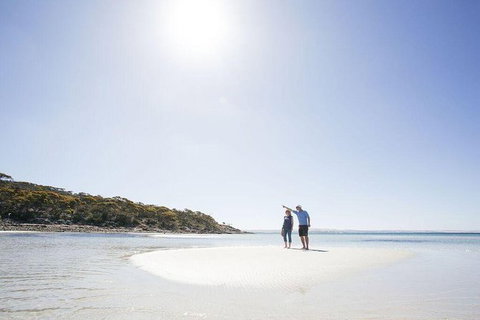 Exceptional Port Lincoln, Seafood And Wildlife Tour - Darwin Holiday 1