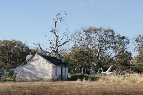 Exceptional Port Lincoln, Seafood And Wildlife Tour - Darwin Holiday 7