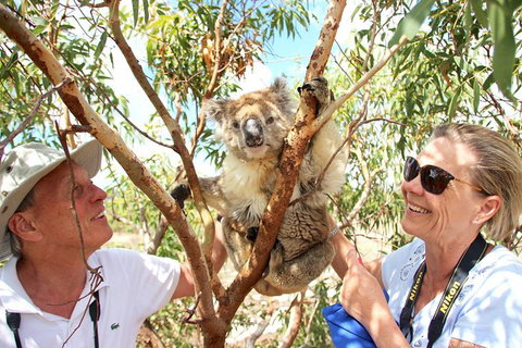 Exceptional Port Lincoln, Seafood And Wildlife Tour - Darwin Holiday 6