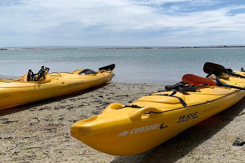 Half-Day Kayaking Tour In Coorong National Park - Darwin Holiday 3