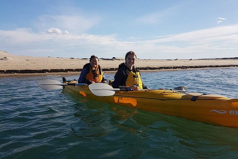 Half-Day Kayaking Tour In Coorong National Park - Darwin Holiday 5