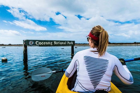 Half-Day Kayaking Tour In Coorong National Park - Darwin Holiday 4