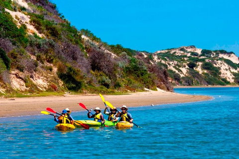 Half-Day Kayaking Tour In Coorong National Park - Darwin Holiday 2