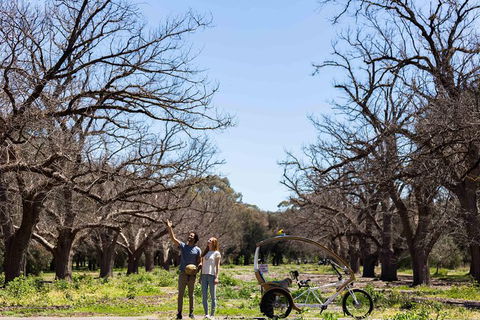 Adelaide 90-Minute Pedicab Tour: Scenic Green & River Experience - Darwin Holiday 1