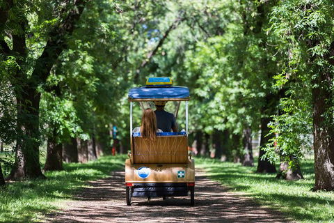 Adelaide 90-Minute Pedicab Tour: Scenic Green & River Experience - Darwin Holiday 2