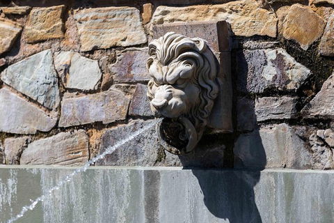 Adelaide 90-Minute Pedicab Tour: Scenic Green & River Experience - Darwin Holiday 9