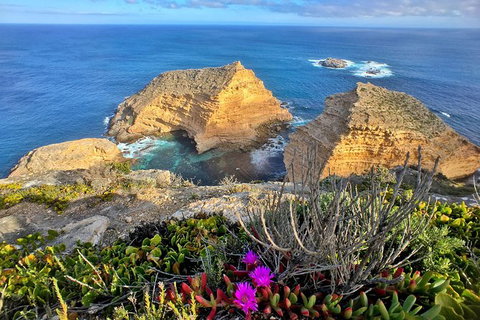 One Day Port Lincoln Tour - Tasting Eyre - Darwin Holiday 13