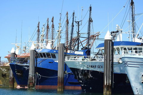 One Day Port Lincoln Tour - Tasting Eyre - Darwin Holiday 8