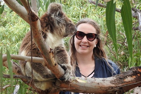 One Day Port Lincoln Tour - Tasting Eyre - Darwin Holiday 2