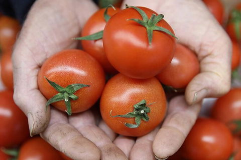 Adelaide Central Market & City EcoCaddy Tour - Darwin Holiday 7