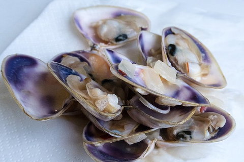 Coorong Adventure Cruise - Darwin Holiday 6