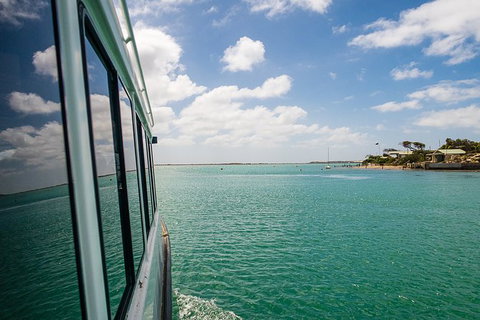 Coorong Adventure Cruise - Darwin Holiday 3