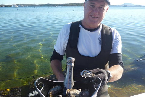 Oyster Farm And Tasting Tour With Hotel Pick-up And Return From Port Lincoln - Darwin Holiday 0