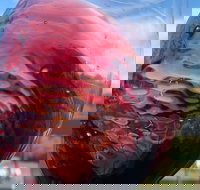 Barossa Wine Tour - Darwin Holiday