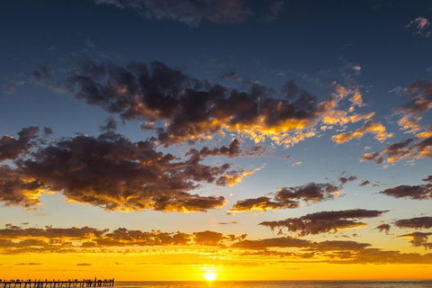 Adelaide Ocean Safari - Twilight Safari - Darwin Holiday 1