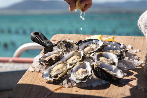 Experience Coffin Bay Short And Sweet Oyster Farm Tour - Darwin Holiday 0