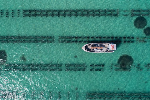 Experience Coffin Bay Short And Sweet Oyster Farm Tour - Darwin Holiday 1