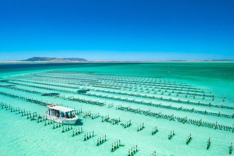 Experience Coffin Bay Short And Sweet Oyster Farm Tour - Darwin Holiday 5