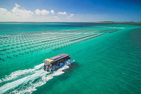 Experience Coffin Bay Short And Sweet Oyster Farm Tour - Darwin Holiday 2