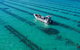Experience Coffin Bay Short And Sweet Oyster Farm Tour - thumb 7