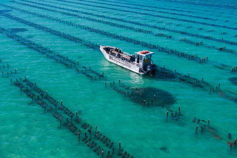Experience Coffin Bay Short And Sweet Oyster Farm Tour - Darwin Holiday 7
