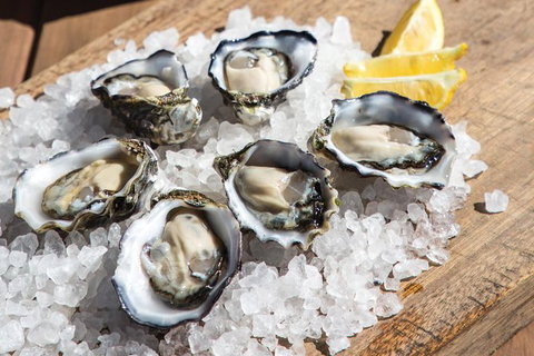 Experience Coffin Bay Short And Sweet Oyster Farm Tour - Darwin Holiday 3