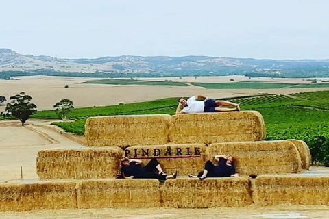 Barossa Wine Tasting Shared Tours - Darwin Holiday 6