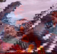 2-Day Exclusive Adelaide Bird and Dolphin Sanctuary Glamping tour - Darwin Holiday