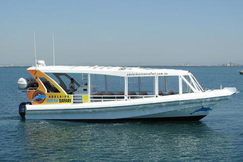 Adelaide Ocean Safari - Wild Dolphin Safari - Darwin Holiday 0