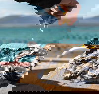 Experience Coffin Bay Oyster Farm and Bay Tour - Darwin Holiday