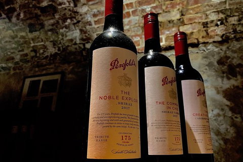 The Ultimate Penfolds Magill Estate Wine & Underground Cellar Tour - Darwin Holiday 5