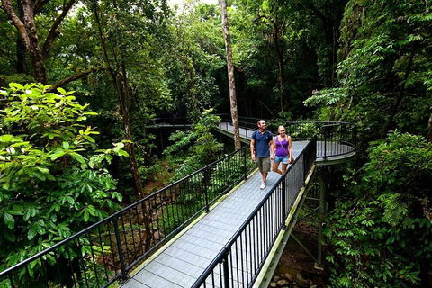 5-Day Best Of Cairns With Daintree, Kuranda, And Great Barrier Reef - Darwin Holiday 4