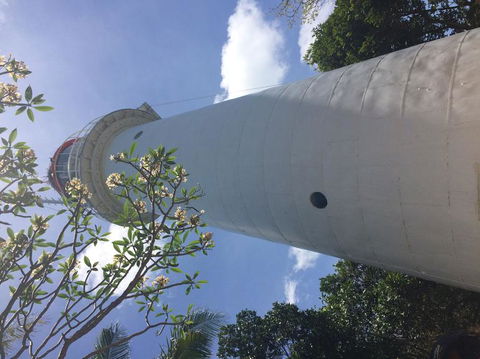 Great Barrier Reef Sailing And Snorkeling Cruise From Port Douglas - Darwin Holiday 2