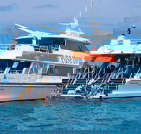 Poseidon Outer Great Barrier Reef Snorkeling and Diving Cruise from Port Douglas - Darwin Holiday
