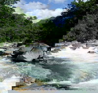 Daintree Rainforest Cape Tribulation Mossman Gorge in a day - Darwin Holiday