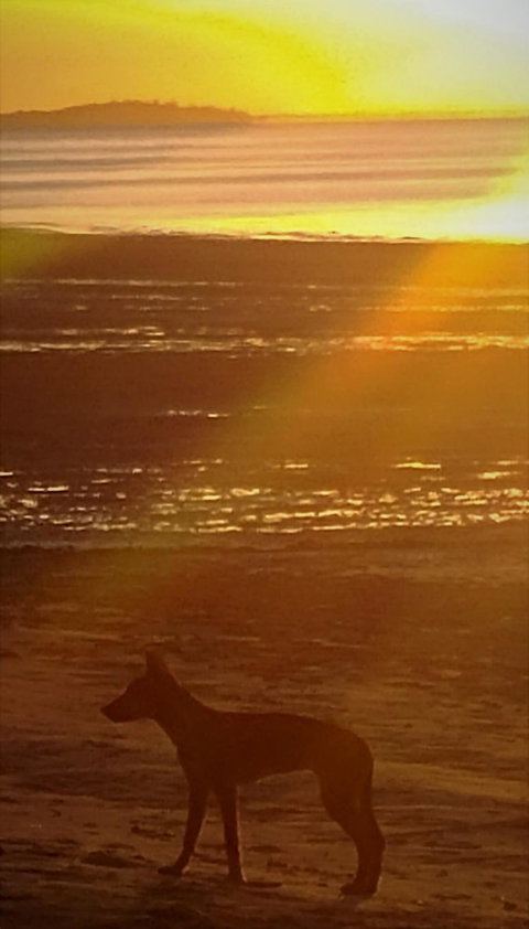 3-Day Fraser Island Resort Package - Darwin Holiday 3