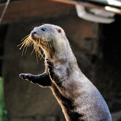 3-Day Fraser Island Resort Package - Darwin Holiday 4