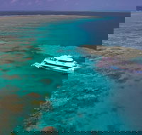 Silversonic Outer Great Barrier Reef Dive and Snorkel Cruise from Port Douglas - Darwin Holiday