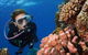 Silversonic Outer Great Barrier Reef Dive And Snorkel Cruise From Port Douglas - thumb 5
