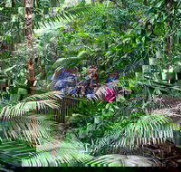 Full Day Daintree Rainforest and Mossman Gorge Tour - Darwin Holiday
