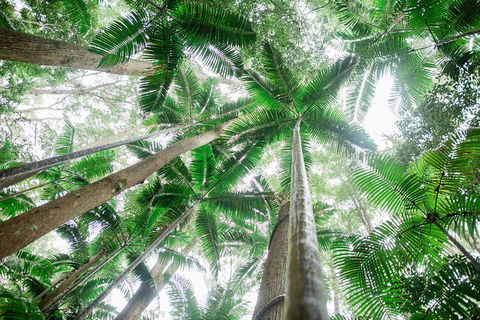 All-Inclusive 2-Day Fraser Island Tour - Darwin Holiday 8