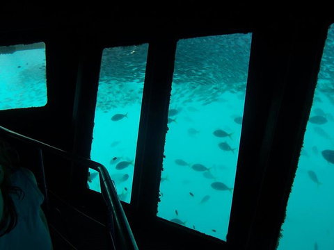 Great Barrier Reef Day Cruise To Reefworld - Darwin Holiday 12