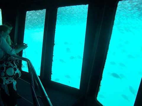 Great Barrier Reef Day Cruise To Reefworld - Darwin Holiday 11