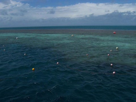 Great Barrier Reef Day Cruise To Reefworld - Darwin Holiday 16