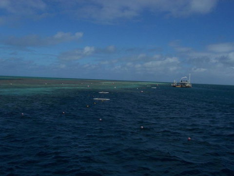 Great Barrier Reef Day Cruise To Reefworld - Darwin Holiday 13