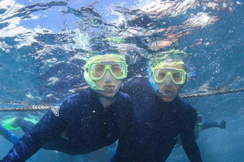 Great Barrier Reef Day Cruise To Reefworld - Darwin Holiday 3