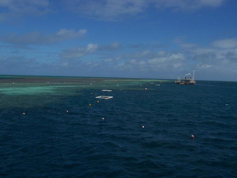 Great Barrier Reef Day Cruise To Reefworld - Darwin Holiday 14
