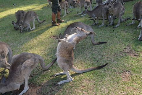 Crab Trip From Gold Coast - Darwin Holiday 12